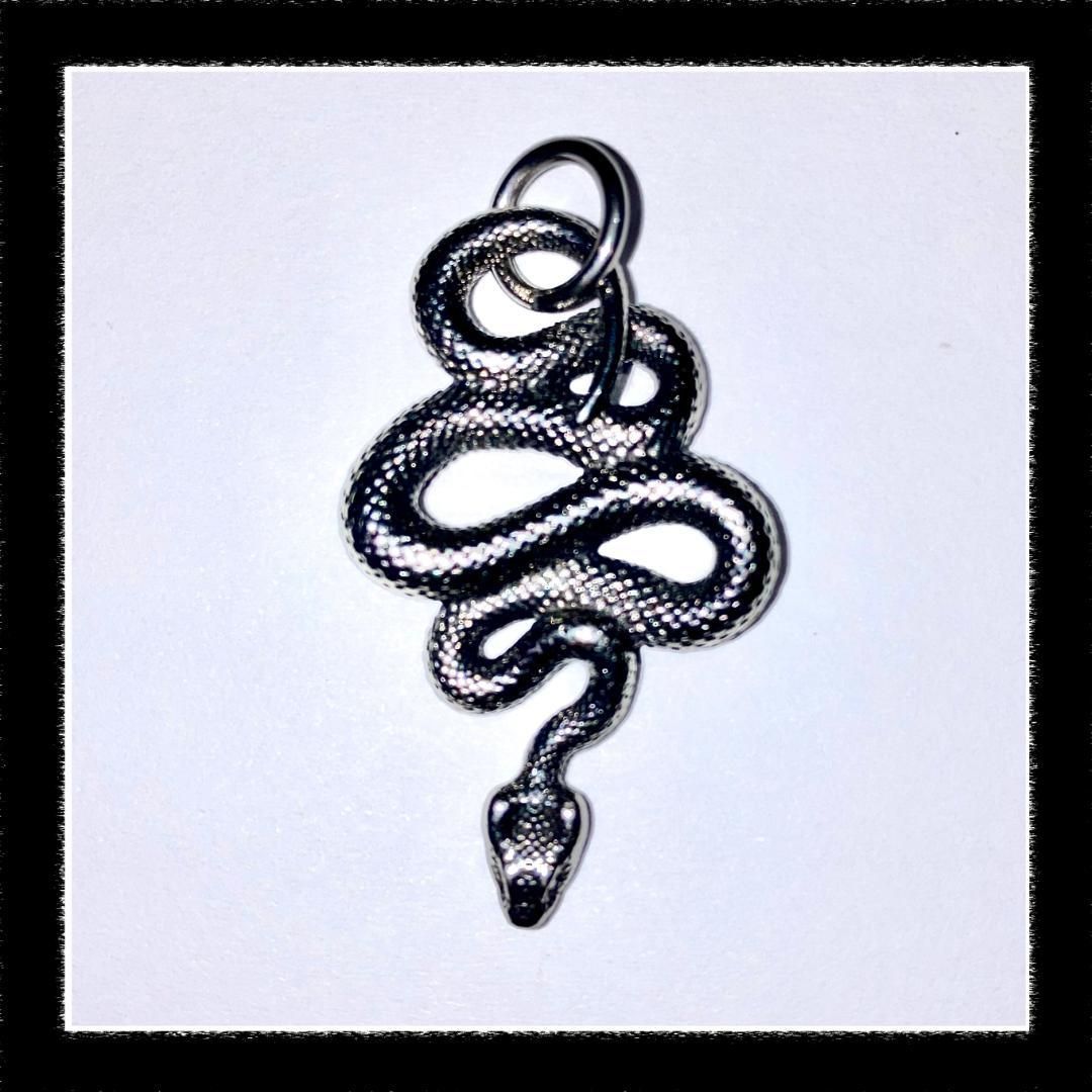 人気 ネックレス アクセサリー Snake-1 ペンダント トップ ヘビ 蛇 爬虫類