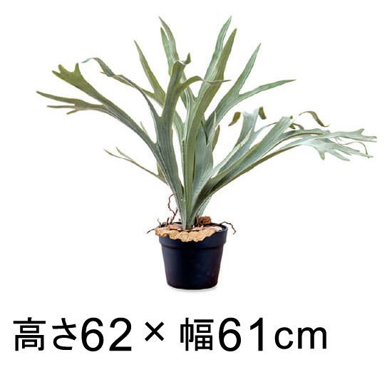 造花 人工観葉植物 フェイク グリーン 80-977 コウモリラン 高さ 62cm 室内 インテリア おしゃれ