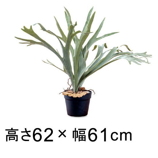 【新品】造花 人工観葉植物 フェイク グリーン #80-977 コウモリラン  高さ 62cm 室内 インテリア おしゃれ