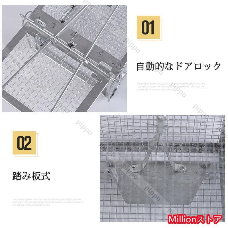 角型 大