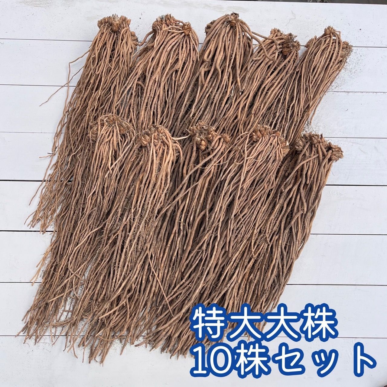 全国