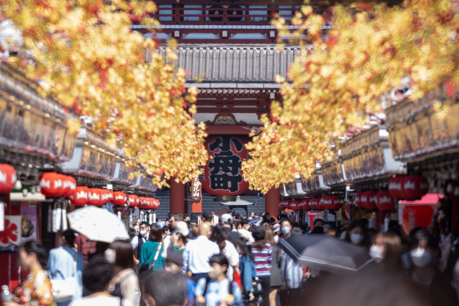  アウトレット Tokina トキナー SZ 300 mm PRO Reflex F 7 1 MF CF キヤノンEF Mマウント 交換レンズ ミラーレンズ レンズ(単焦点) カメラ