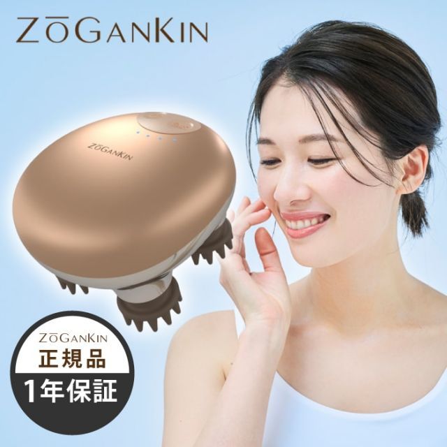 ZOGANKIN SCALP 美顔器 EMS ゾーガンキンスカルプ zogankin美顔器 EMS