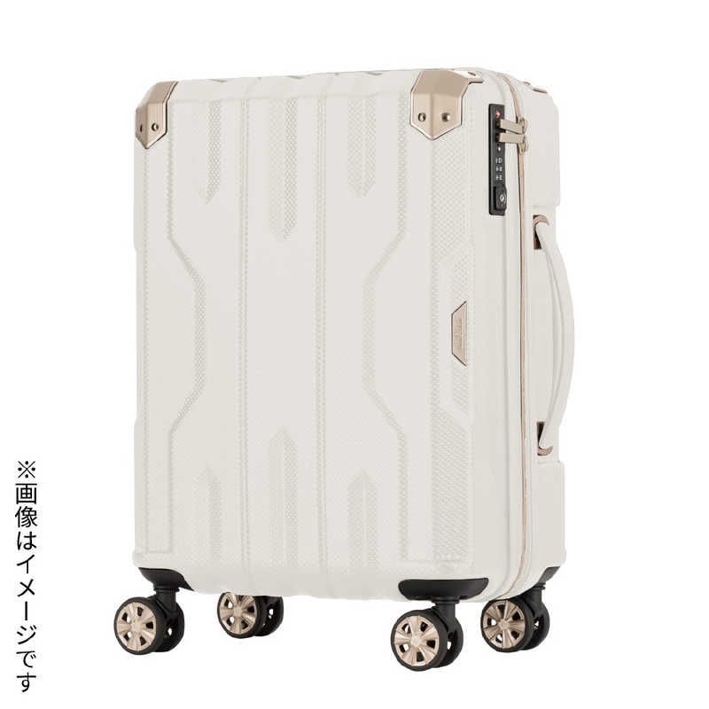 ミニ冷蔵庫 冷温庫 小型冷蔵庫 22L アウトドア キャンプ 12V車