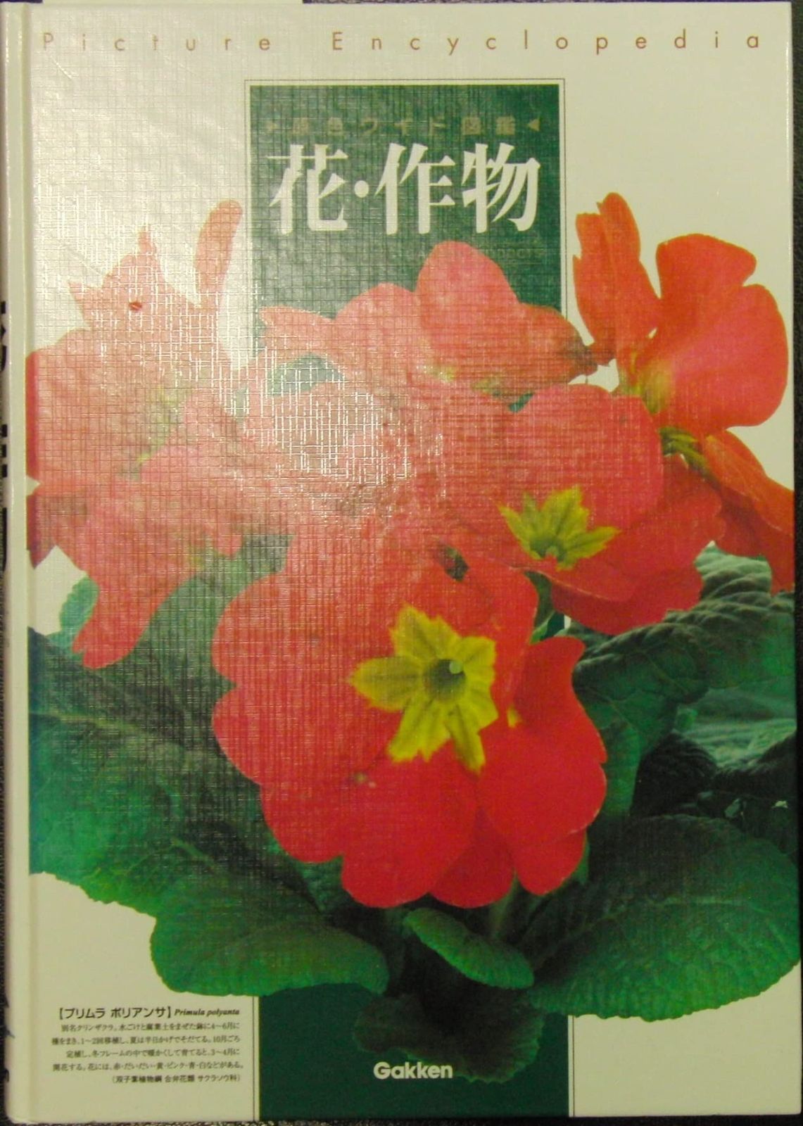 花・作物