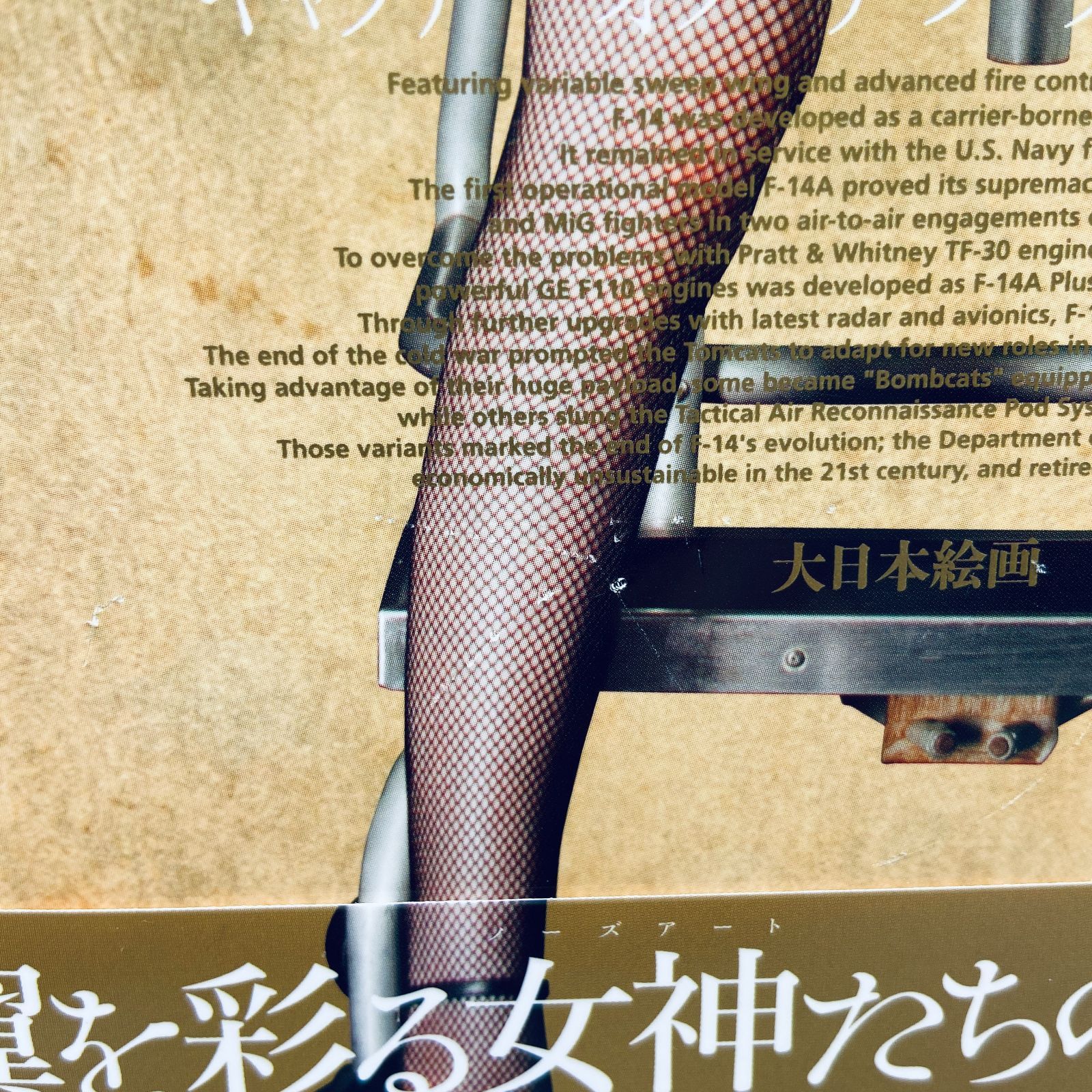 ギャラリーオブザノーズアートクイーン = GALLERY OF THE NOS… 駿河屋 -<新品/中古>駿河屋限定版)GALLERY OF THE NOSE ART