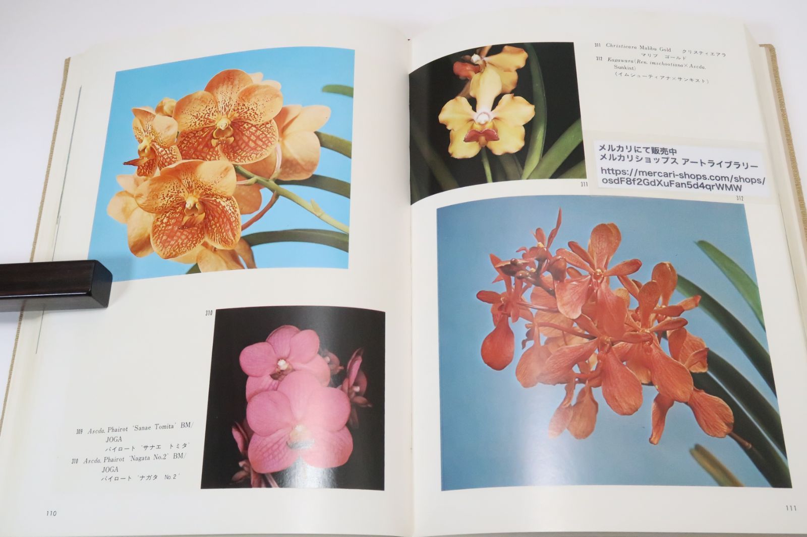 定本・洋蘭大観/120属・うち原種296種・交配種288種の合計584種を収録した・主要6大属をさきにしその他の属をあとに掲げた - メルカリ