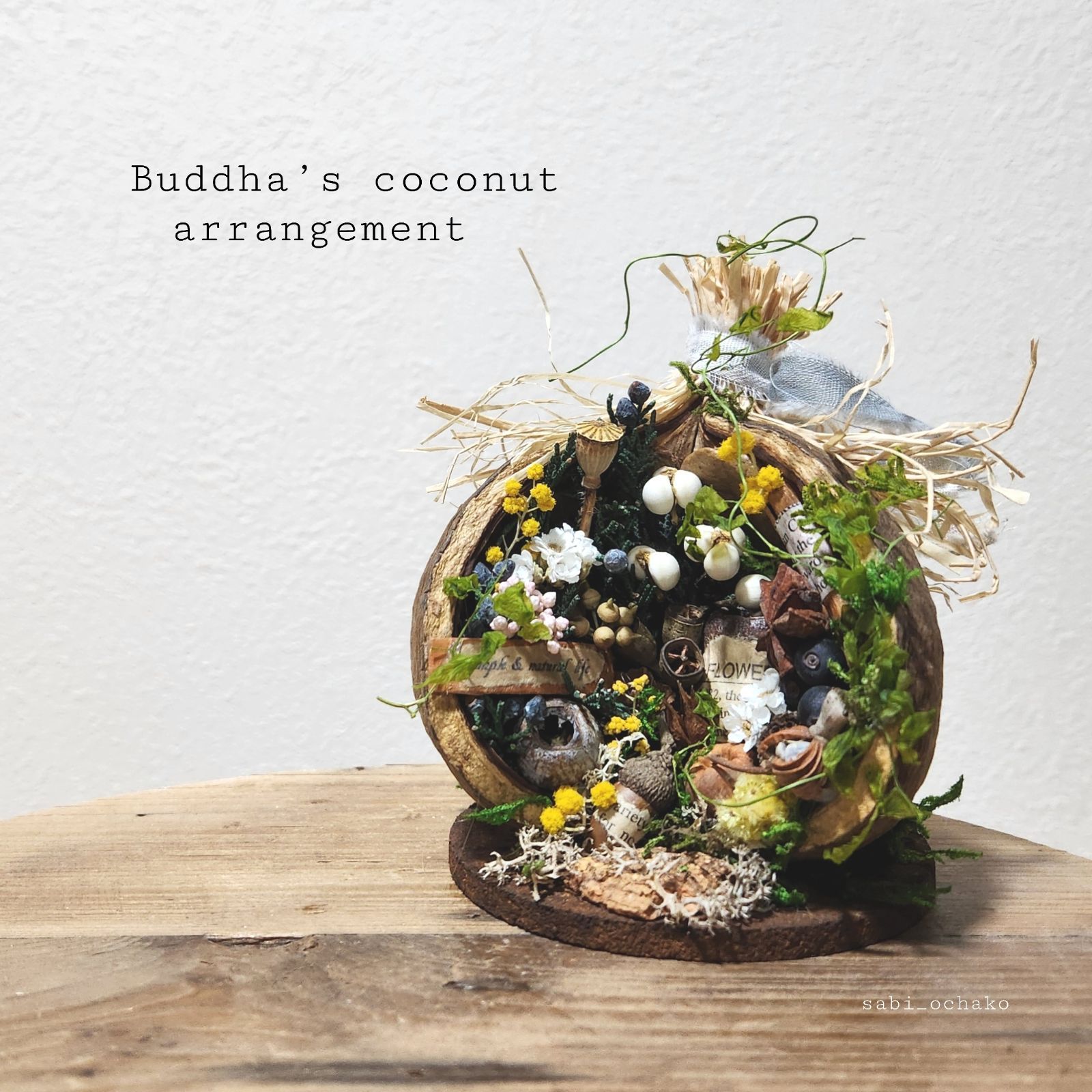 ブッタナッツ ブッタナッツのおすすめ商品とおしゃれな実例 ｜ RoomClip（ルーム