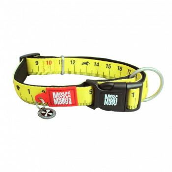 仲谷鳰 川浪いずみ 直筆サイン色紙