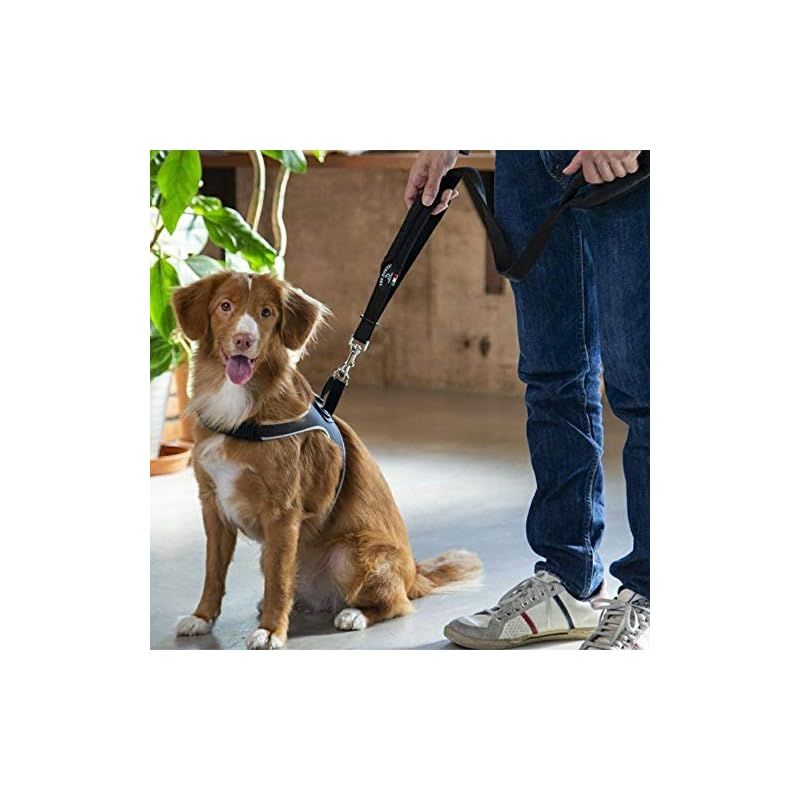 TRE PONTI (トレポンティ) 犬用 リード 安全ダブルハンドル機能 快適厚地パッド 腕肩の負担軽減 大型犬用 中型犬用 ダブルセーフ TRE PONTI トレポンティ ダブル セーフティ ハンドル リーシュ DOUBLE