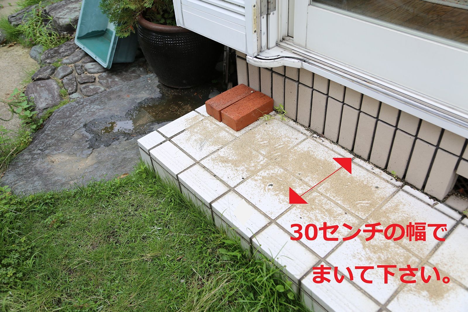ムカデ 博士