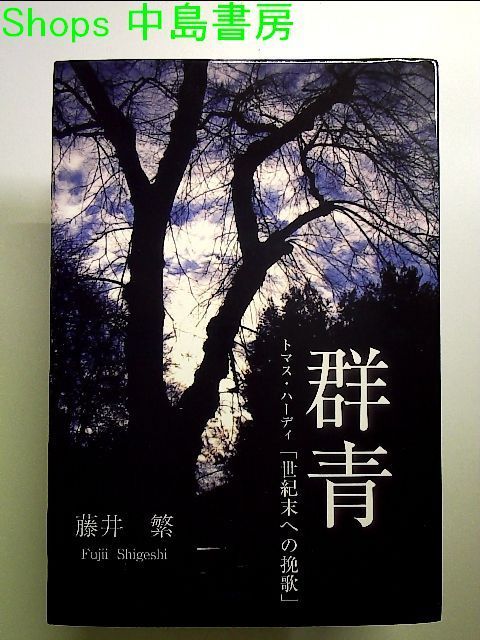 群青 ートマス・ハーディ「世紀末への挽歌」ー 単行本