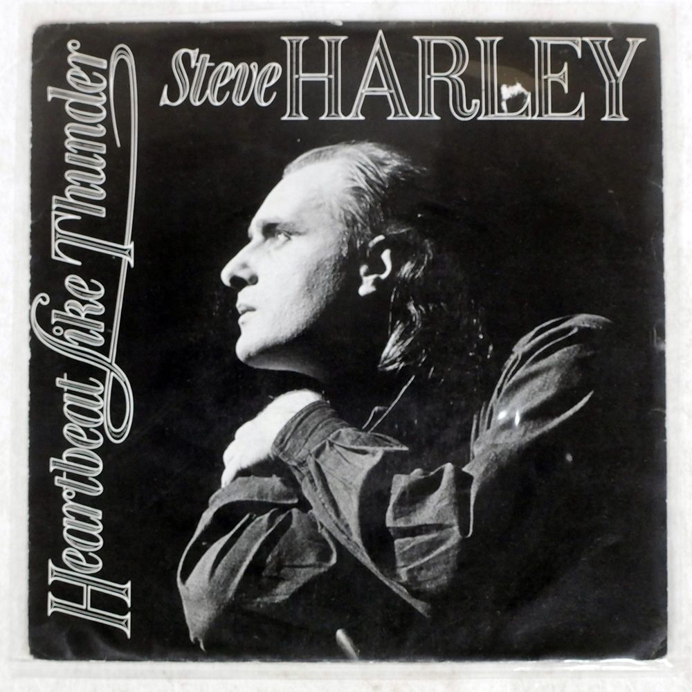 Steve Hackett サイン入り LPレコード Steve Hackett サイン入り LPレコード