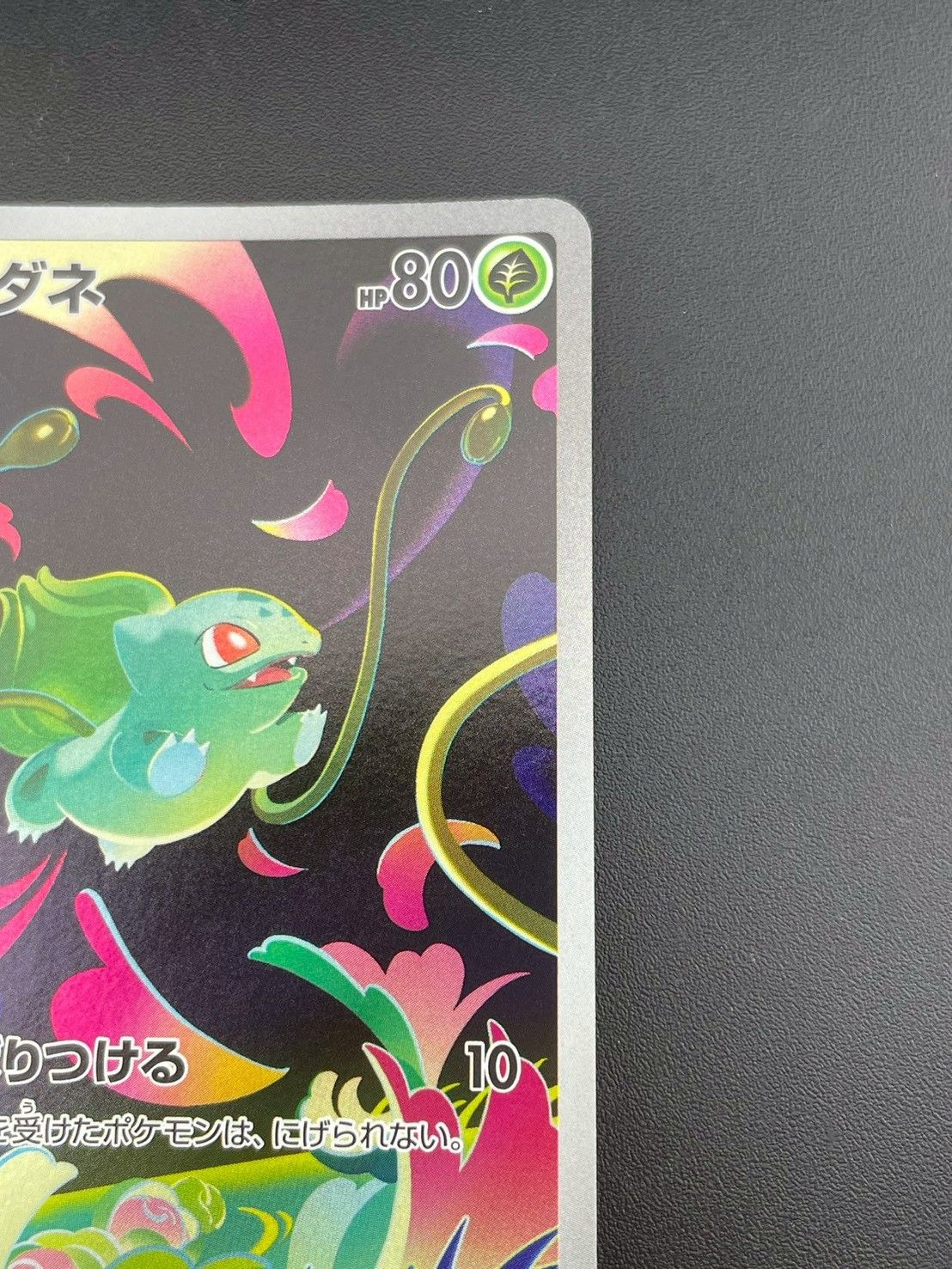 ポケモンカードe フシギダネ 1st Edition. フシギダネ | ポケモンカードe スターターパック(002/029)