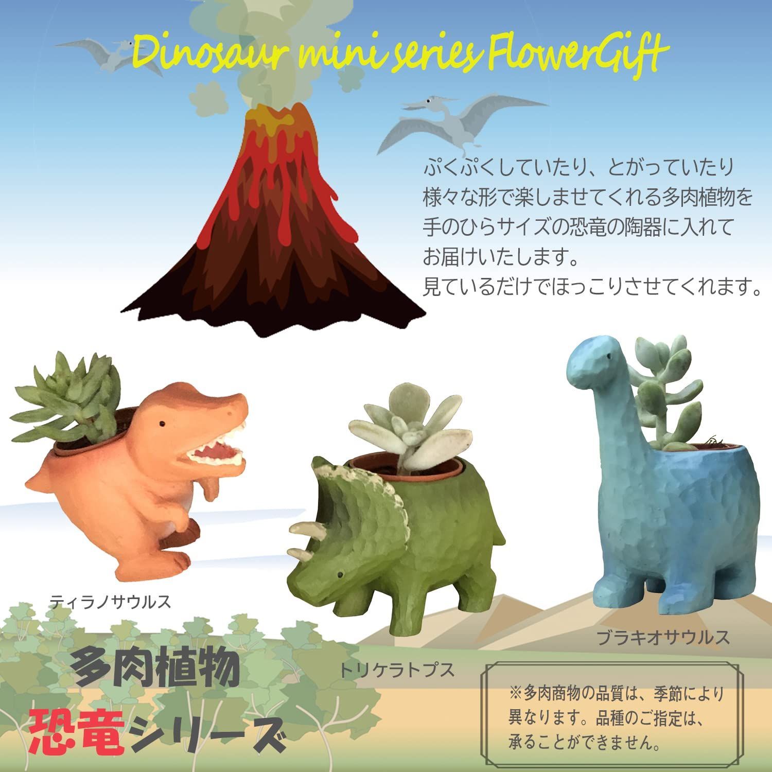 観葉植物