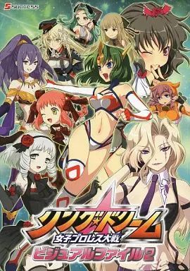 アニメムック ≪コンシューマゲーム書籍≫ リング ドリーム 女子プロレス大戦-ビジュアルファイル2
