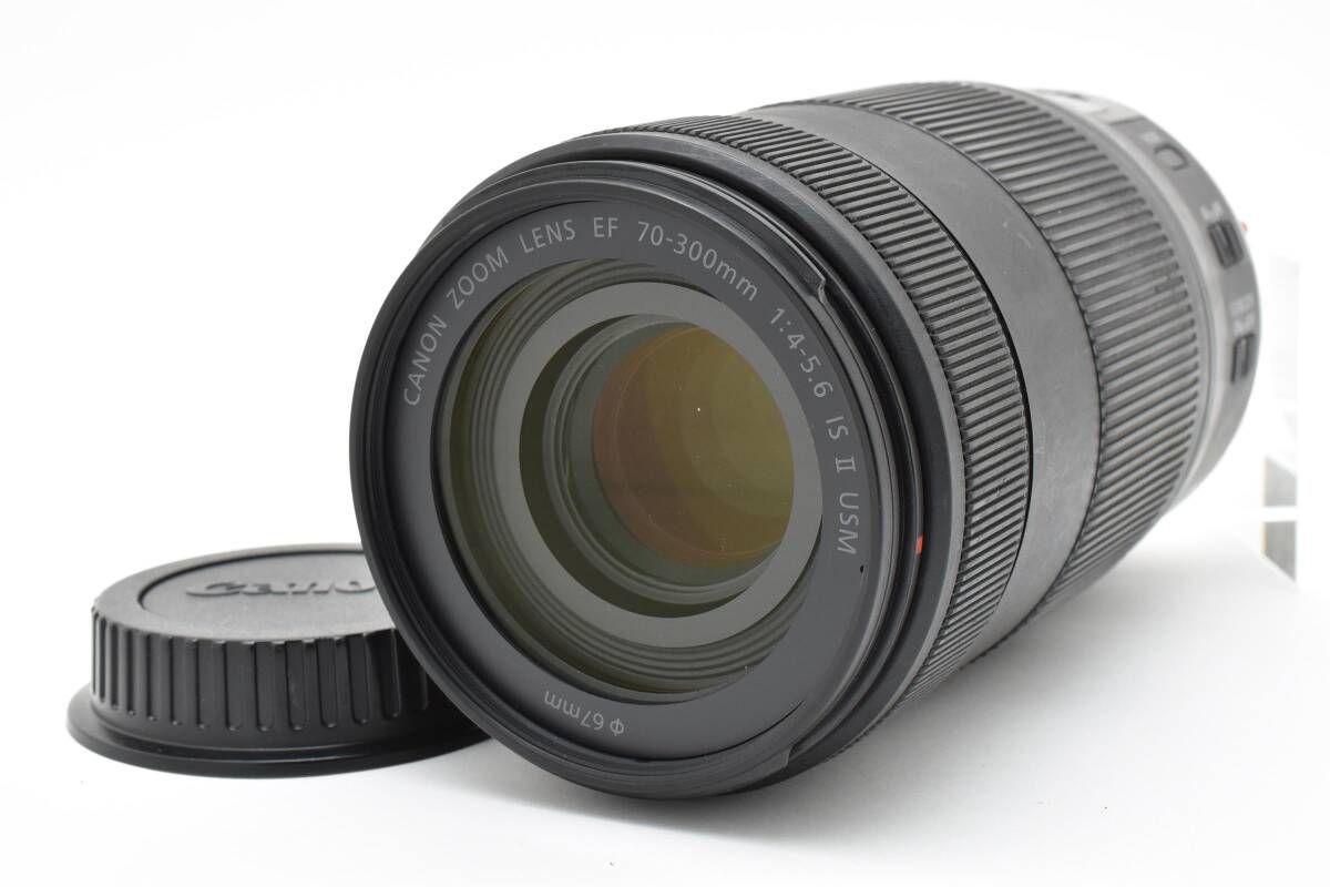 ☆極美品☆キヤノン EF-S 18-200mm f3.5-5.6 IS#1176 キヤノン EF-S18