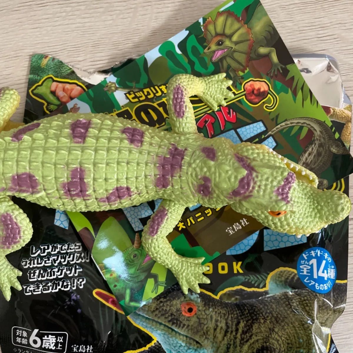 変形爬虫類 リアル トカゲ&ワニ ナイルワニ レア - メルカリ