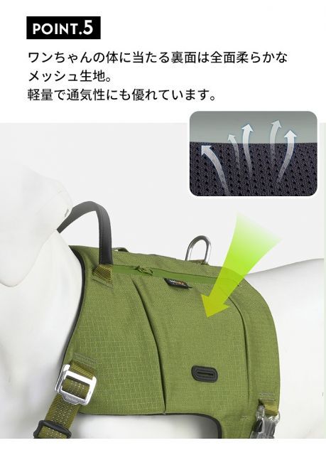 中型犬