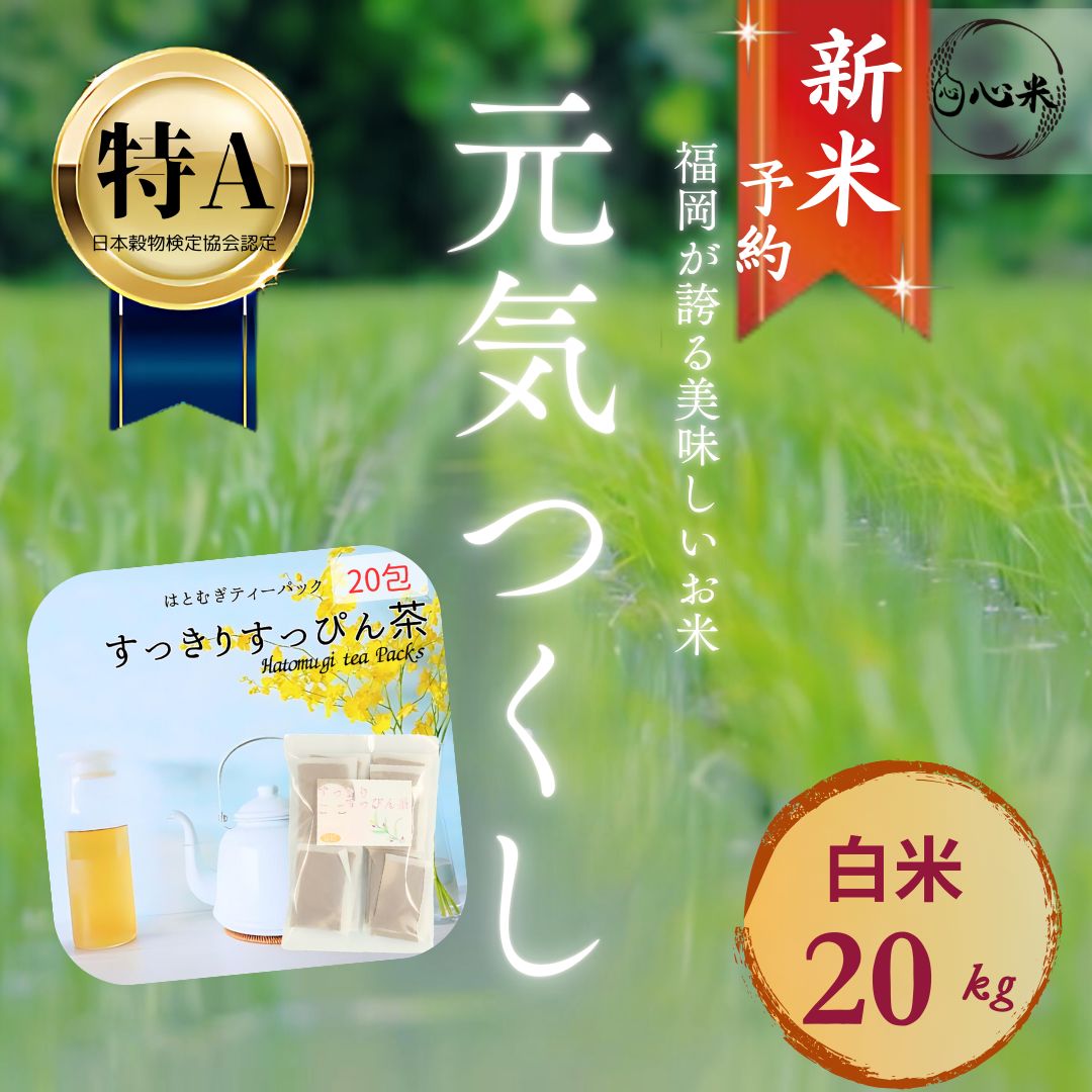 10円パン 神 トレー 1000枚 専用 10円パン紙トレー容器1000枚 10円パン