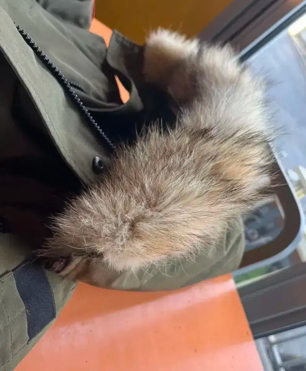 カナダグース キッズ