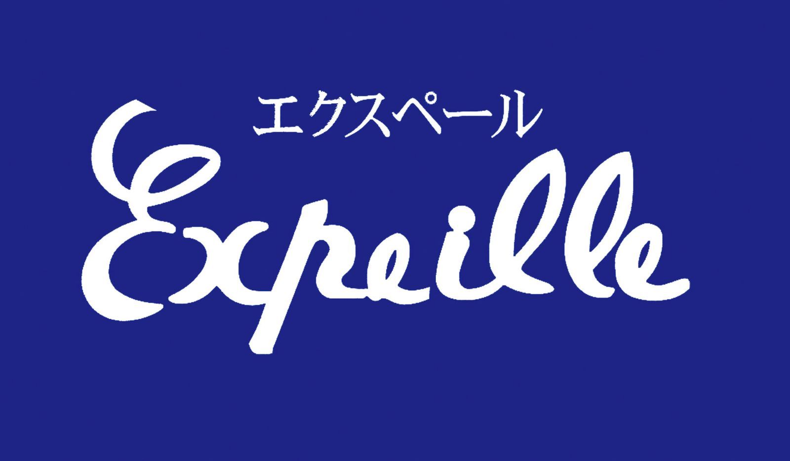 大判サイズ 2枚セット