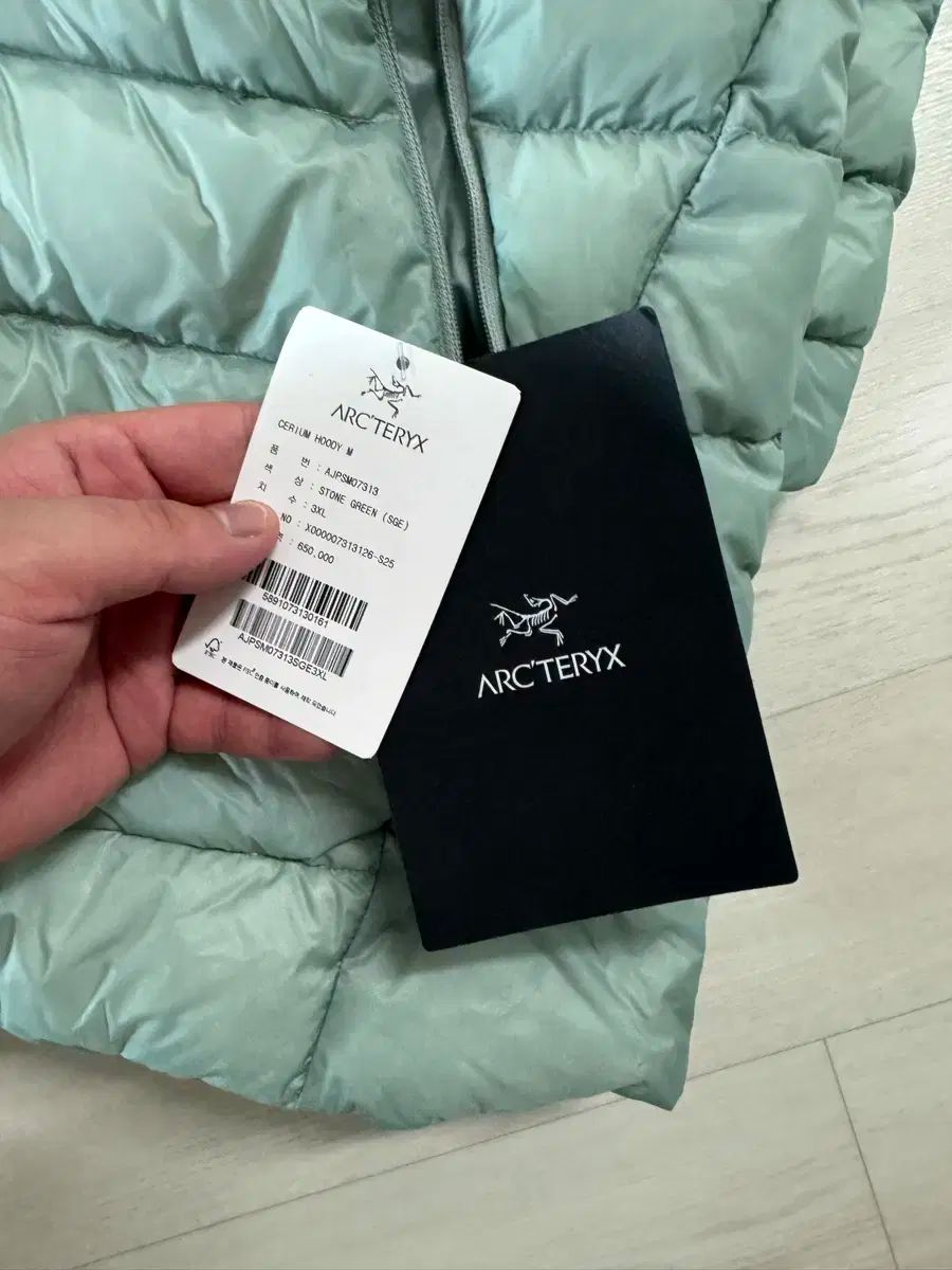 ARC TERYX Cerium フーディ その他 アウター 登山ウェア アウトドアウェア