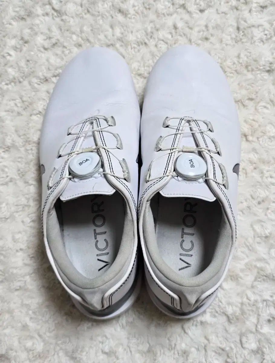 ズーム ヴィクトリー