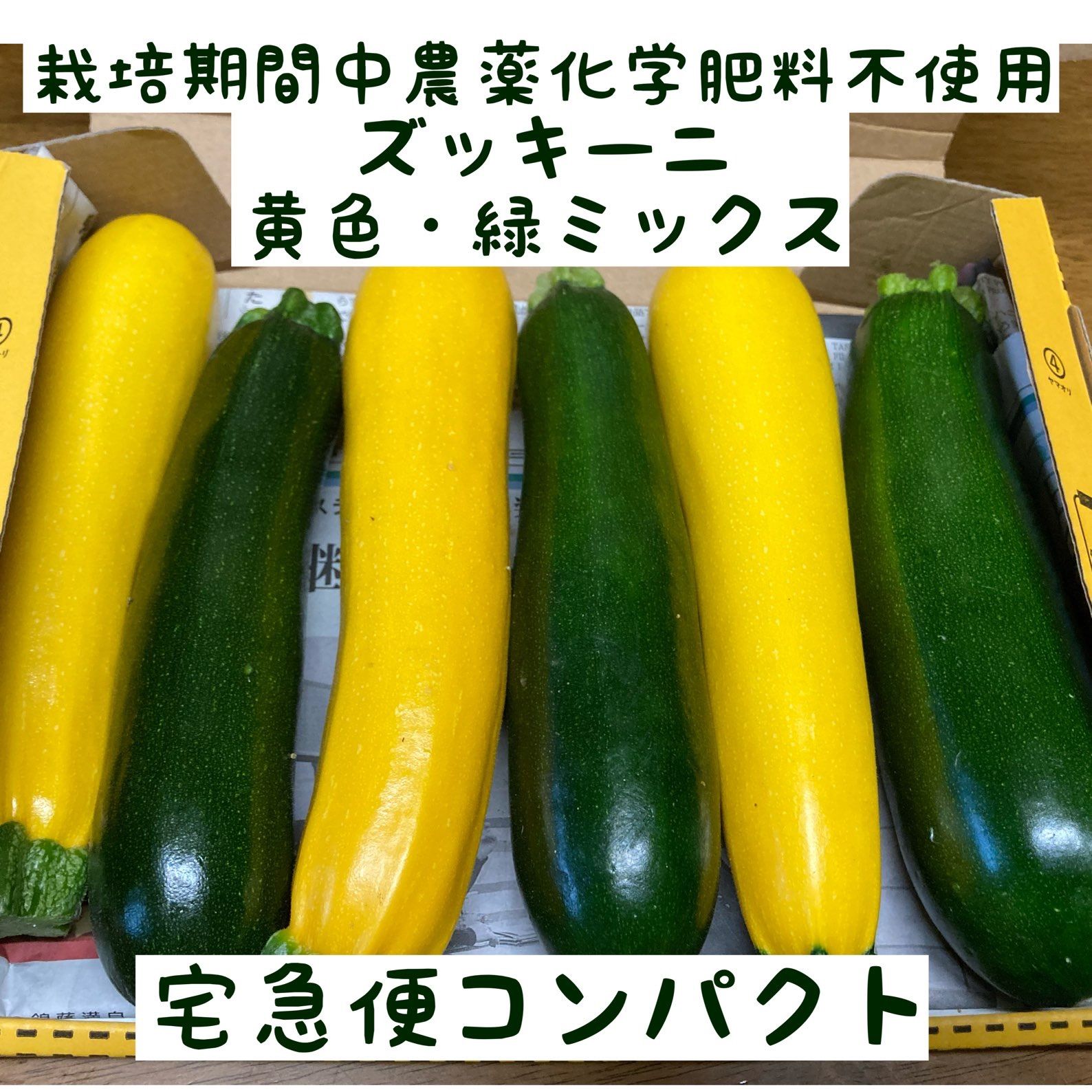 ズッキーニ黄色ミックス【栽培期間中農薬化学肥料不使用】宅急便コンパクト