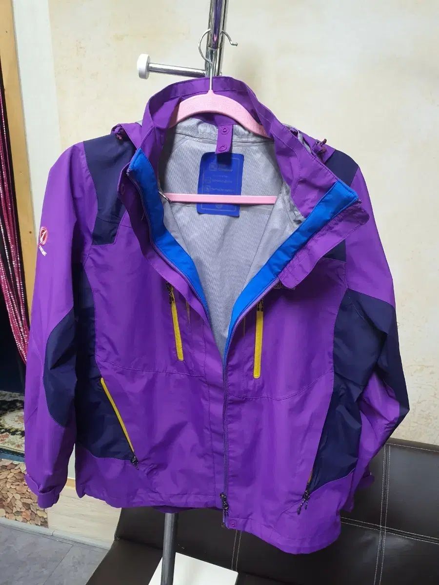 阪神「高校野球」特急板