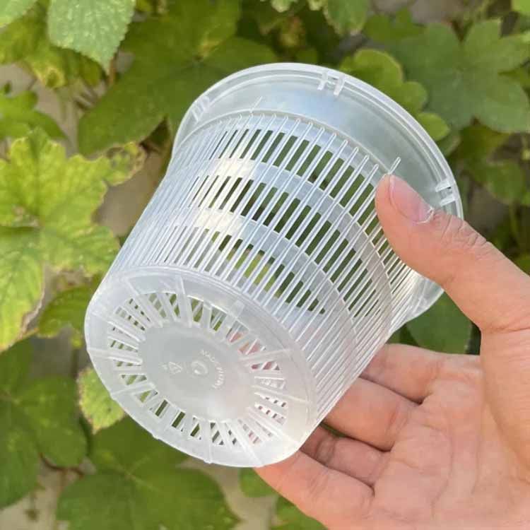 胡蝶蘭 プラスチック 穴付き 多肉植物 10鉢セット 鉢 屋外 胡蝶