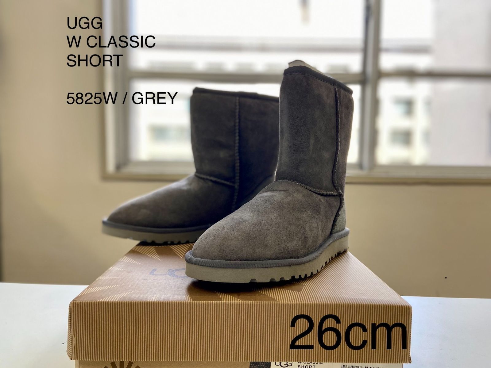 靴UGG ブーツ　クラシックショート5825w 23cm 未使用