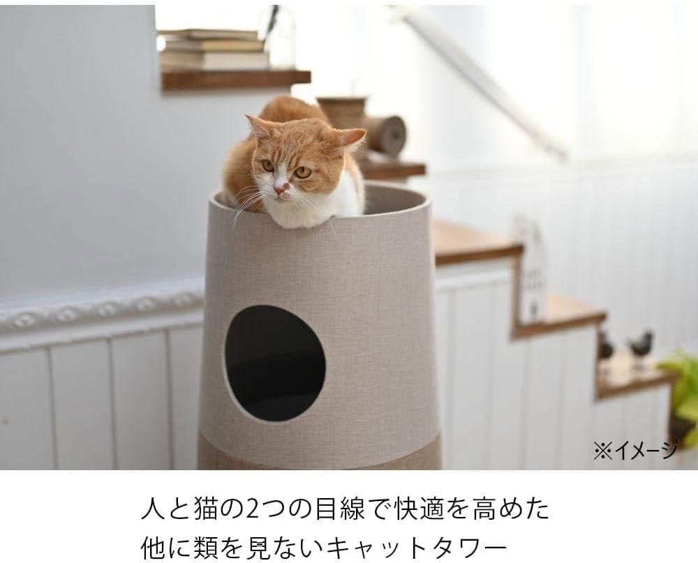 カインズ