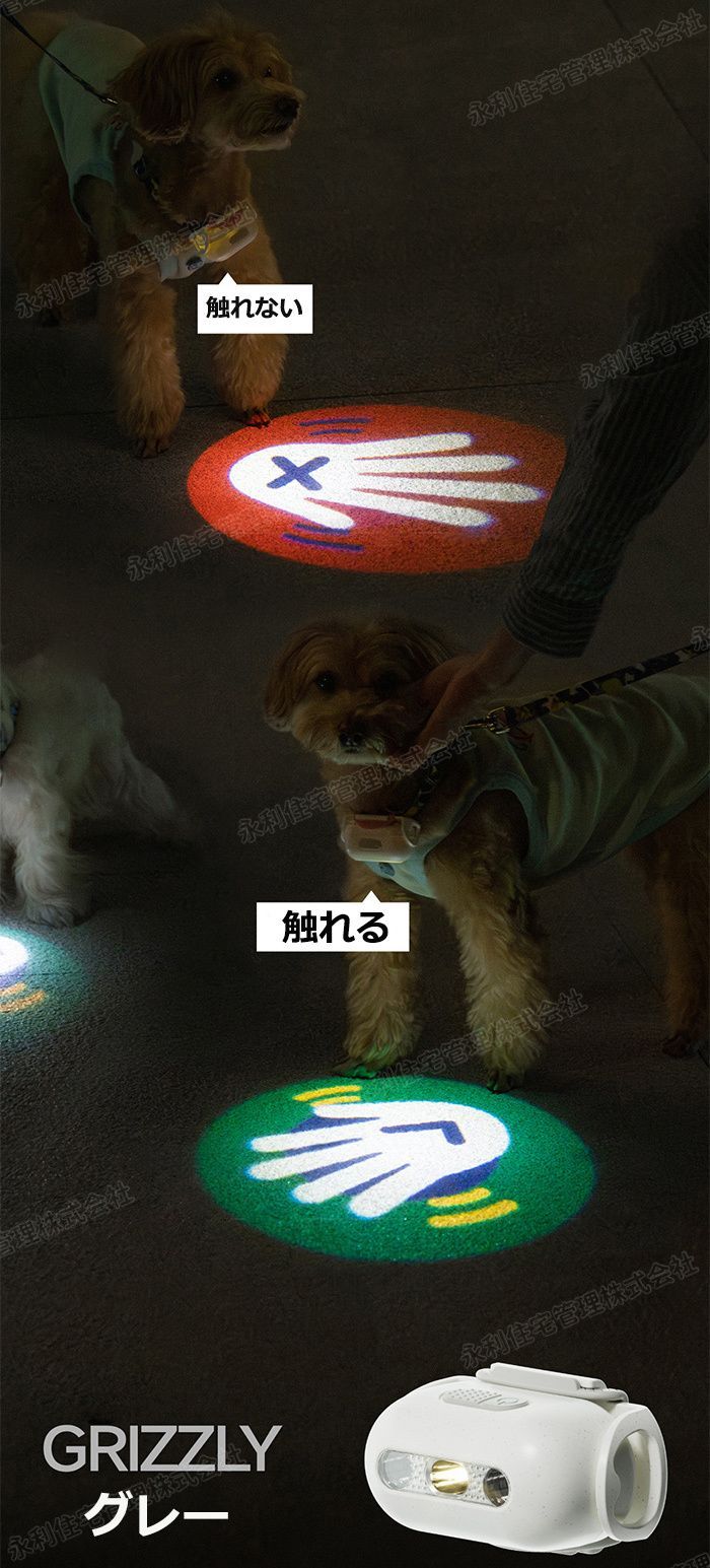安全