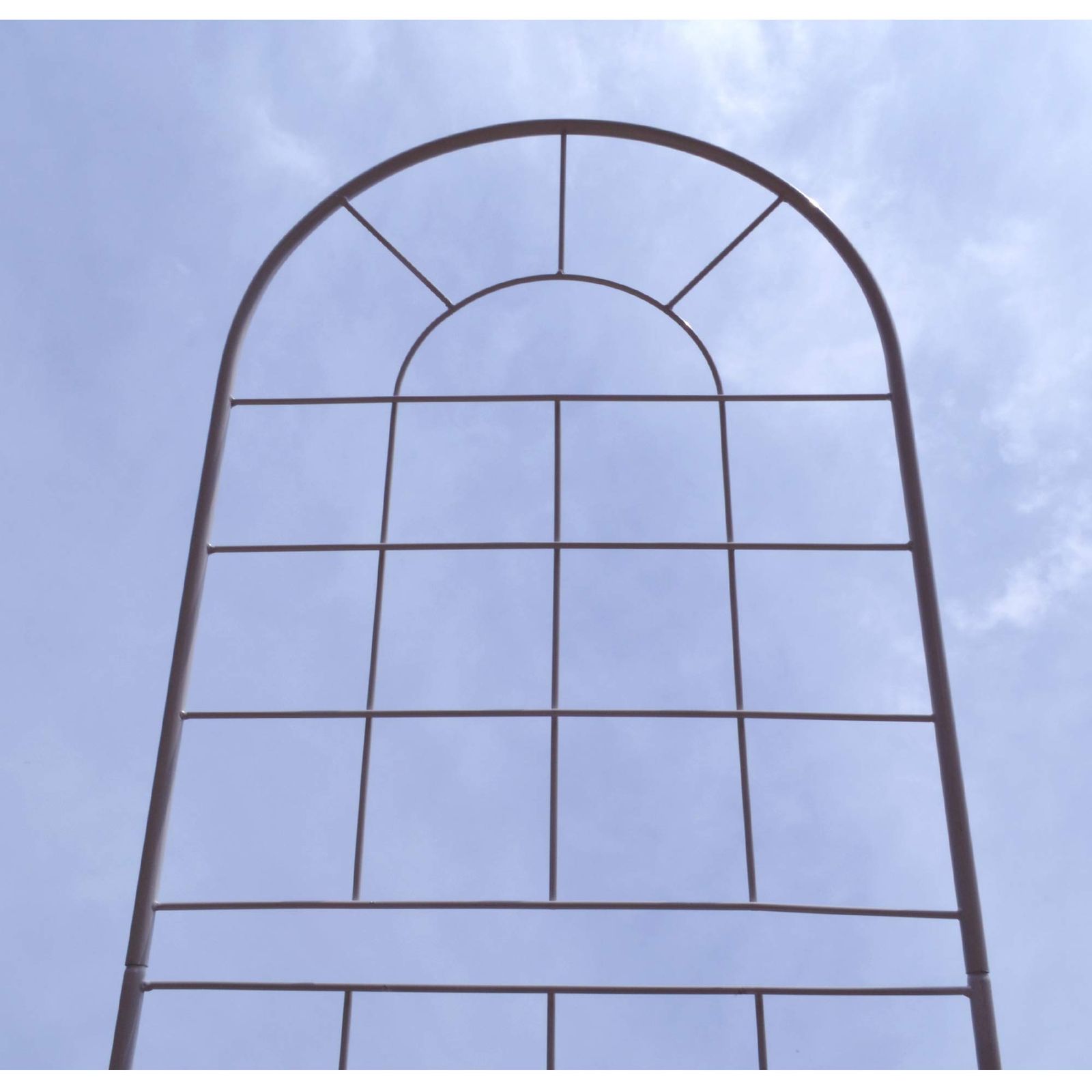 アイアントレリス