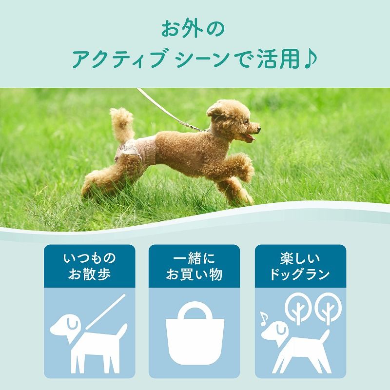 アクティブウェア SSS-S