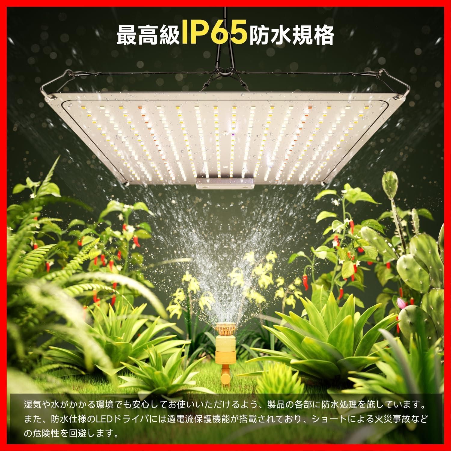 LED 水草栽培