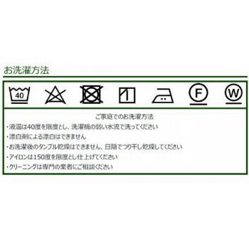 川島織物セルコン Morris Design Studio レスターアカンサス マルチカバー 200×200cm HV1714 BG ブルーグリーン