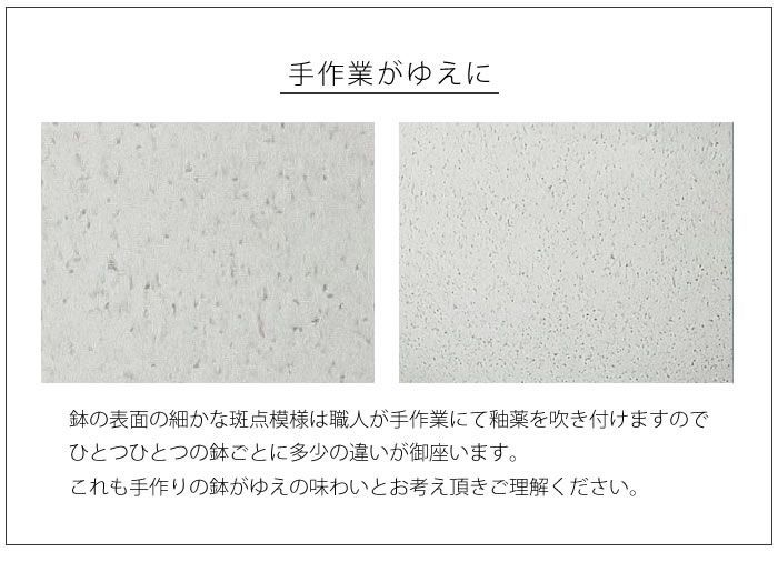 信楽焼 陶器