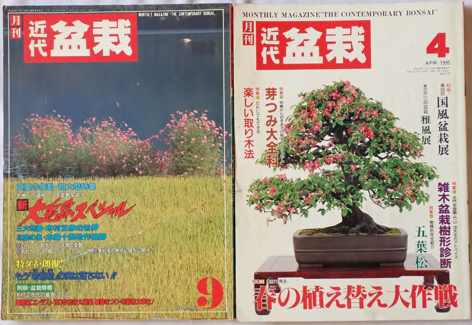近代盆栽 10冊セット 1989年4月-1995年7月号 - メルカリ