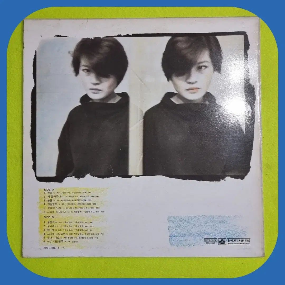 ファンソン ビートル ウォータークローブ LP CD NM BM