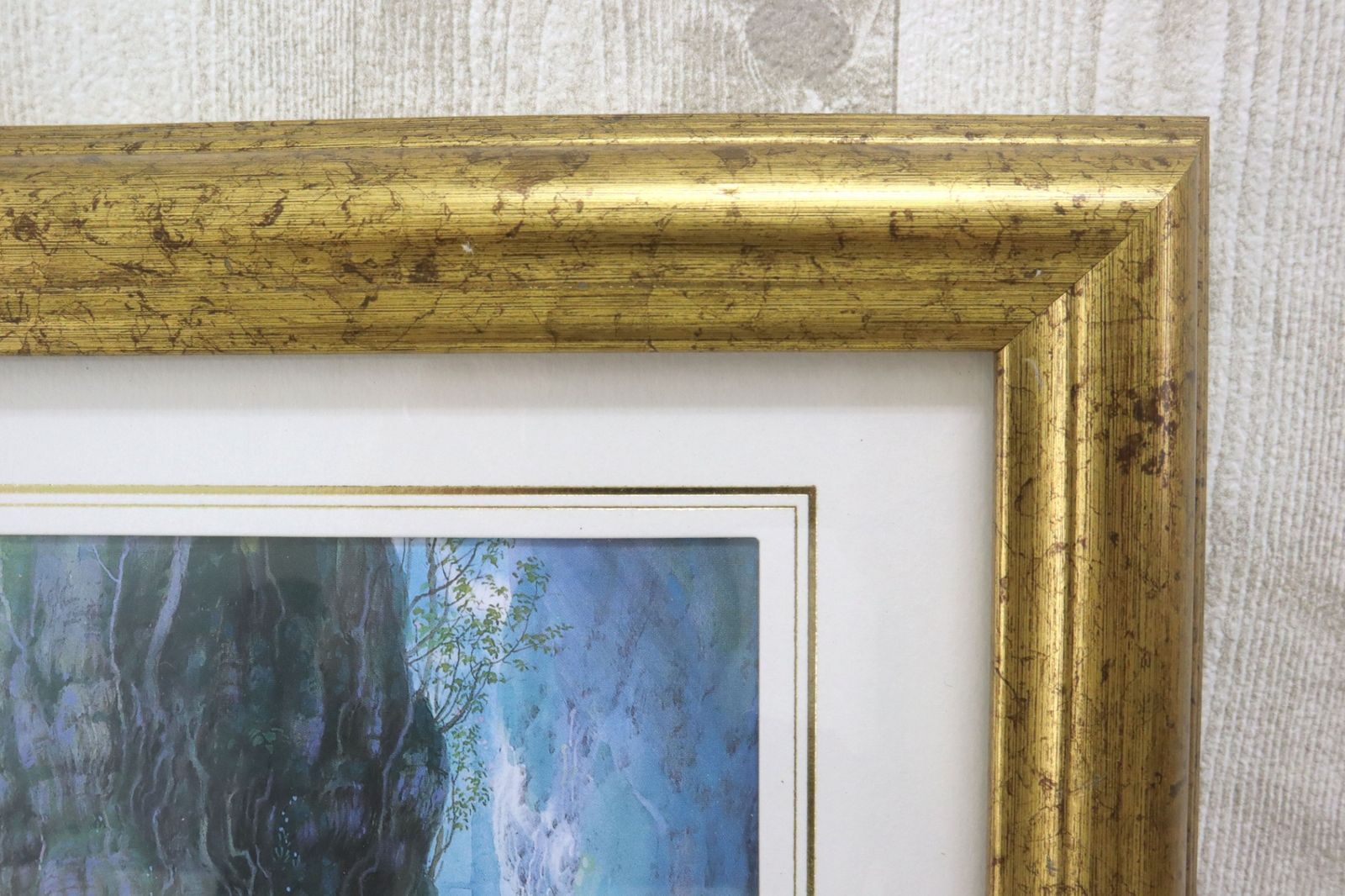 額装 ジブリ もののけ姫 山本二三展 複製原画 宮崎駿 シシ神の森 新品同様 額装 ジブリ もののけ姫 山本二三展 複製原画 宮崎駿 シシ神の森