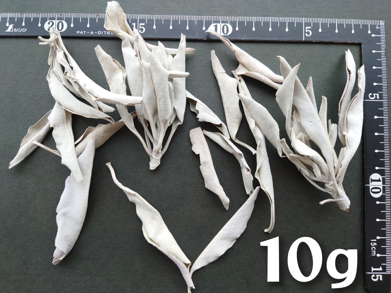 ホワイトセージ 枝付き リーフ 無農薬 30g おまけ付き - メルカリ