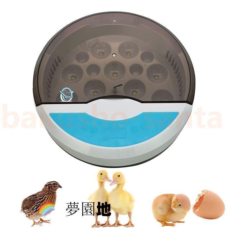 くず米 20kg hiro／くず米 20kg×4袋 hiro／くず米 20kg×4袋 楽天市場