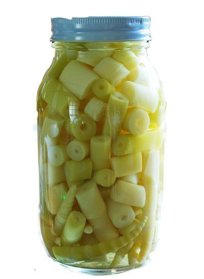 秋田県産　たけのこ　缶詰　送料込み！ 秋田県産 たけのこ 缶詰 送料込み 根曲り竹 根曲がり竹 缶詰