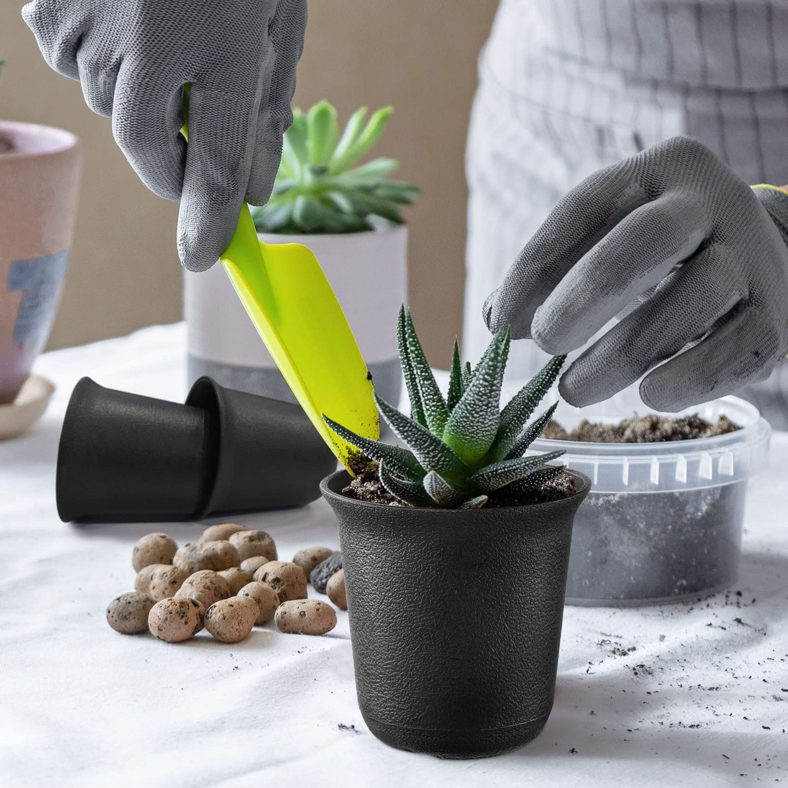 BOTANIZE バンクシー プラスチック鉢 園芸用品 【数量限定】プラスチック【 植木鉢 ポット 6.5cm