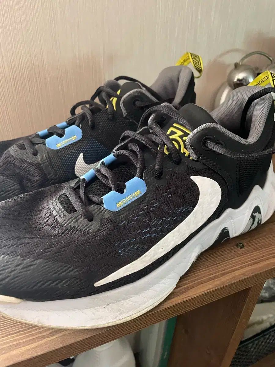 Giannis(ヤニス) immortality 1 ショップ 275 バスケシューズ ナイキ