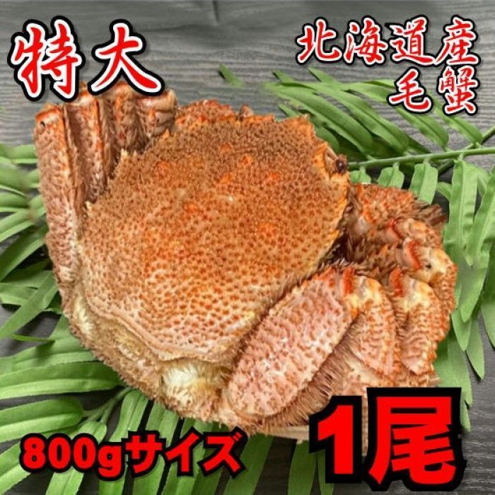 【特大！】北海道産　毛蟹　約800～900g  1尾　冷凍　ボイル　毛がに　カニ-0