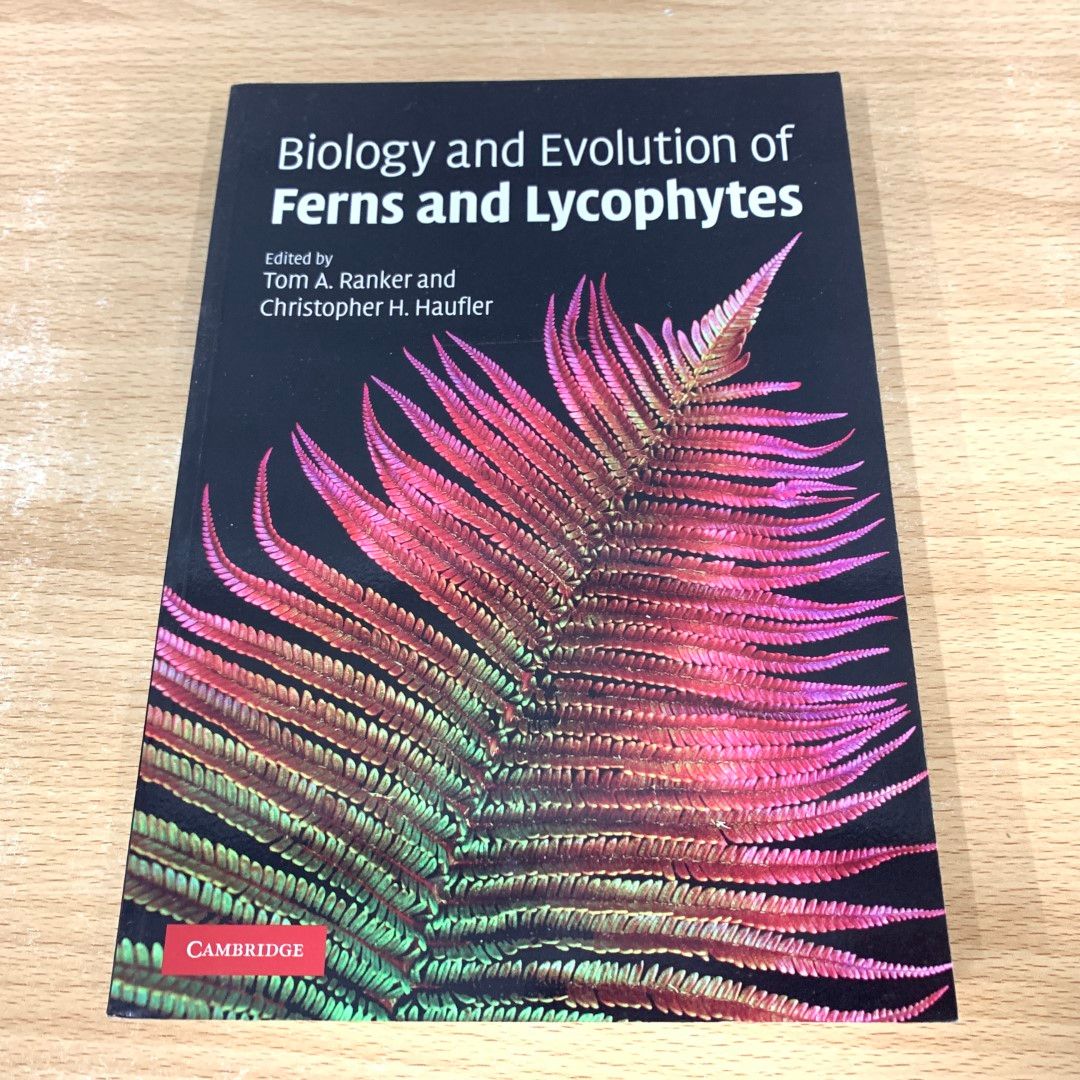 ▲01)【同梱不可】Biology and Evolution of Ferns and Lycophytes/シダ植物と緑藻類の生物学と進化/洋書/A Biology and Evolution of Ferns and Lycophytes | Cambridge