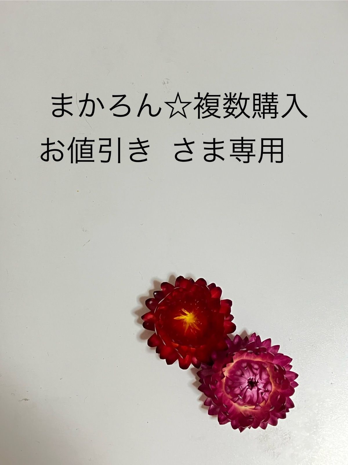 ちい　ラブリーローズ 鉢ごと そのまま メルカリ便 ラブリーローズ 鉢ごと そのまま メルカリ便 多肉植物